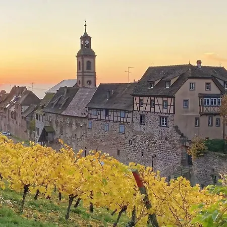 La Cigogne Blanche Riquewihr