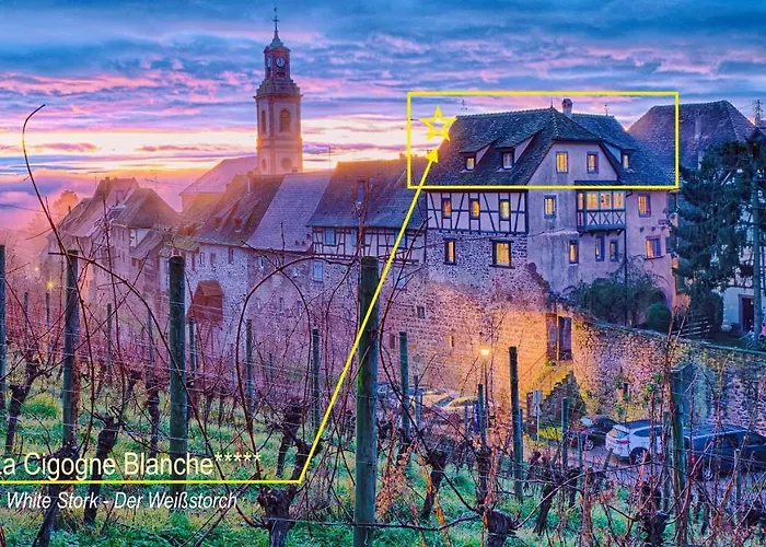 La Cigogne Blanche Holiday home