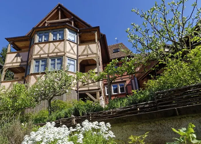 La Cigogne Blanche Riquewihr